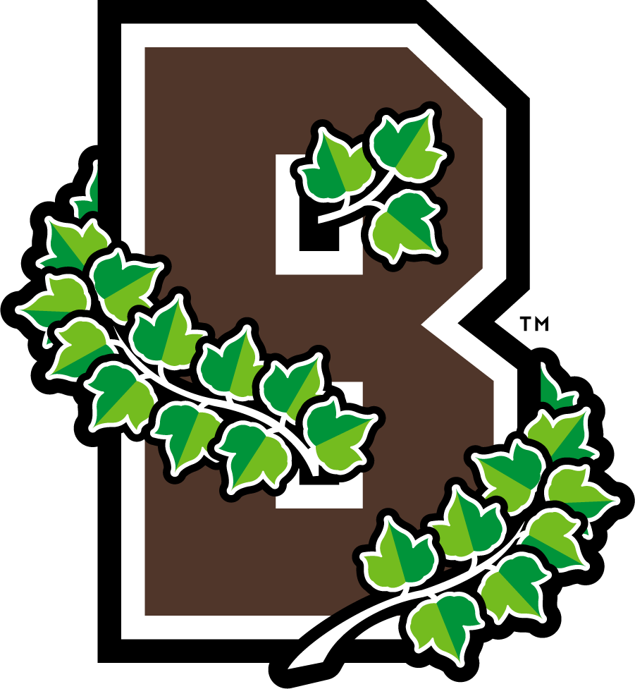 Brown Bears 2013-2018 Secondary Logo t shirts iron on transfers